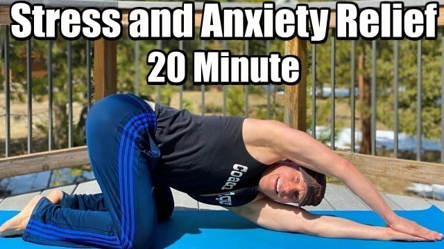 '20 min GENTLE YOGA for STRESS and ANXIETY Relief - Sean Vigue Fitness'