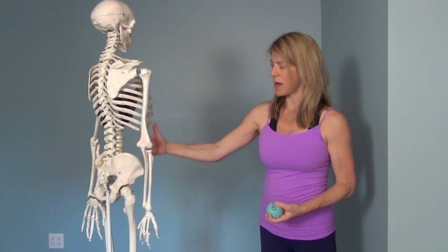 'Elbow Grease for HELLbow - Roll Model Mama Postpartum Series | Yoga Tune Up®'