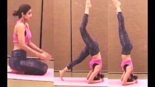 'Shilpa Shetty Amazing Yoga Video'