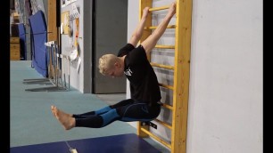 'Stall Bar Exercises for Mobility and Flexibility'