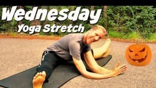 'Day 3 - Full Body Yoga Stretch | 30 Days of Yoga with Sean Vigue Fitness'