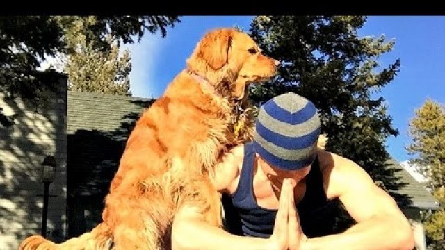 'WHEN DOGS ATTACK: Fitness Instructor Edition - Sean Vigue Fitness'