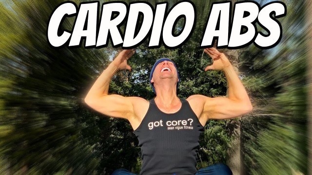'20 Minute Core and Cardio Workout with Sean Vigue Fitness'