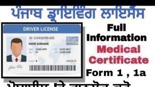 'Punjab driving licences Medical Certificate Form 1 and Form 1a Information'