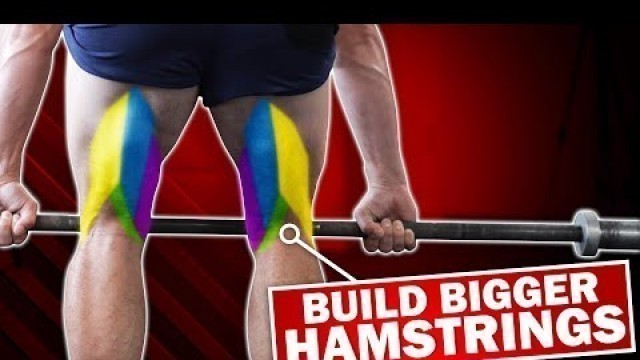 '3 Hacks For Beefy Hamstrings! | GOODBYE CHICKEN LEGS!'