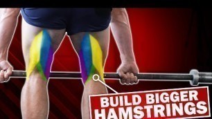 '3 Hacks For Beefy Hamstrings! | GOODBYE CHICKEN LEGS!'
