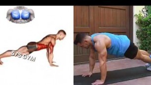 'Full EXERCISE BODYWEIGHT CHEST Workout fitness 